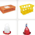 POLUTRY SUPPLIES